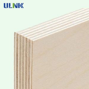 Bảng gỗ dán Veneer Birch thương mại
